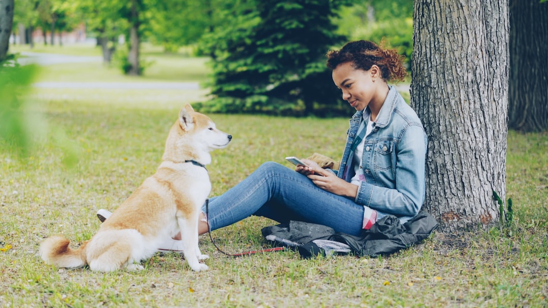 Discover the best Wag alternative pet sitting app