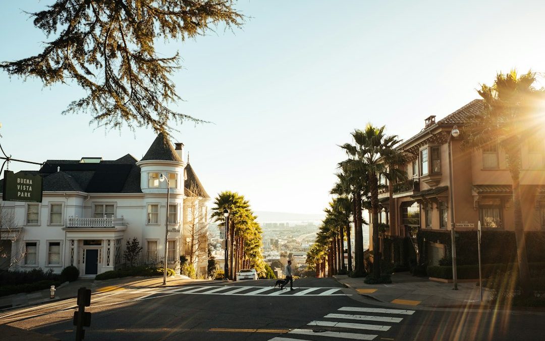 Top Tips for Choosing an Animal Hospital